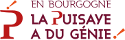 Logo Office de Tourisme de Puisaye-Forterre